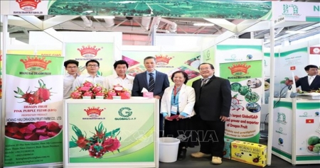 Вьетнам принимает участие в  ярмарке  Fruit Logistica 2020 в Германии