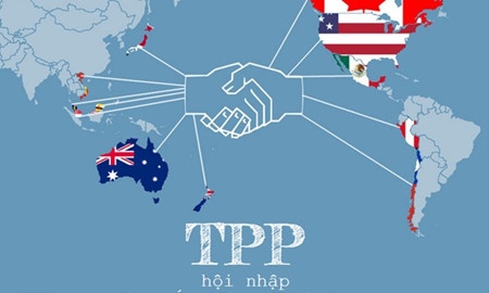 Правительство СРВ предъявит парламенту на утверждение Соглашение о ТТП