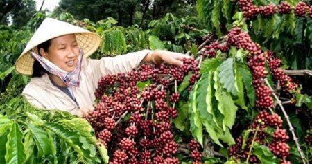 В 2020 году компания Nestlé Вьетнам продолжит выпуск  новых продуктов на экспорт