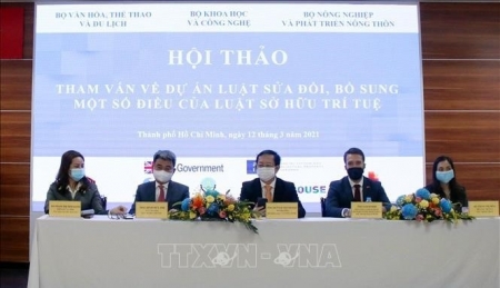 Вьетнам превращает интеллектуальную собственность в движущую силу экономики знаний и инноваций