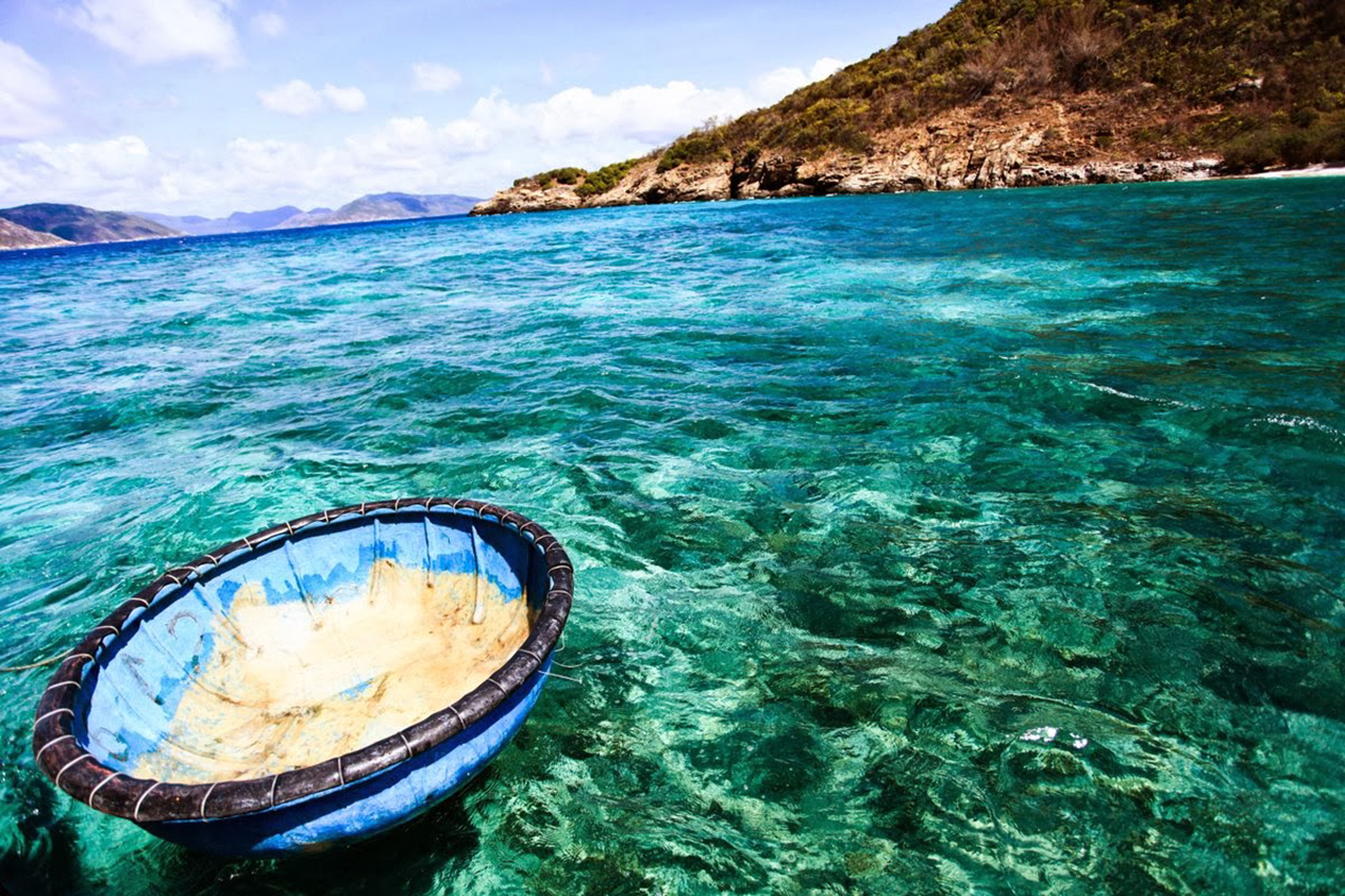 Ảnh 0