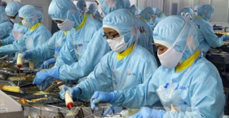 Рыбохозяйственная отрасль Вьетнама стремится увеличить экспорт своих продуктов до $10 млрд