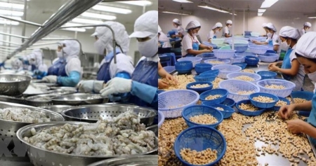 В первом квартале экспорт продуктов сельского, лесного и рыбного хозяйств Вьетнама вырос почти на 49%