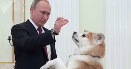 Названо неожиданное хобби Путина