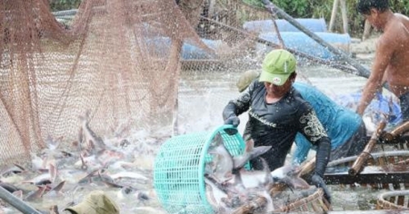 Легальный экспорт – действенная мера по поставке продуктов сельского и рыбного хозяйств в Китай