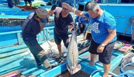 Международное сотрудничество по устойчивому развитию морской экономики к 2030 году