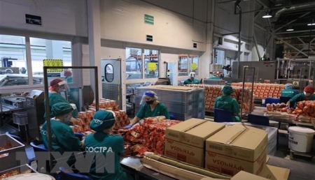 Вьетнамское предприятие в России выстояло перед вызовом COVID-19