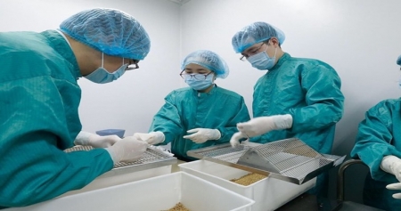 Вьетнам провел на мышах успешные испытания потенциальной вакцины от COVID-19