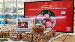 Ускорение процесс импорта личи во Францию