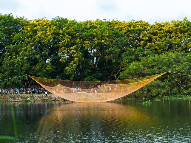 Ảnh 0
