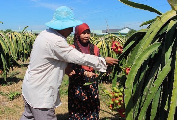 Ảnh 0