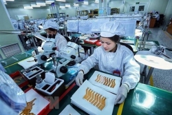 За первые 6 месяцев 2021 года ПИИ во Вьетнаме достигло почти $15,3 млрд.