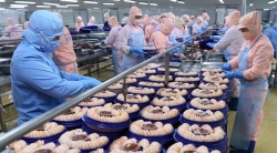 Экспорт водной продукции из Вьетнама за первую половину 2021 года превысил $4,1 млрд