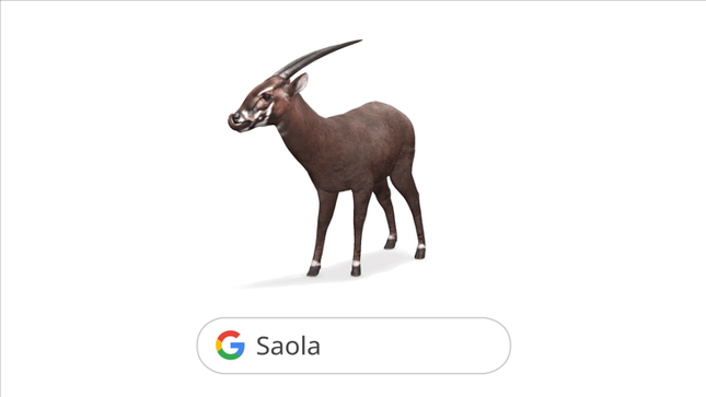 Ảnh 0