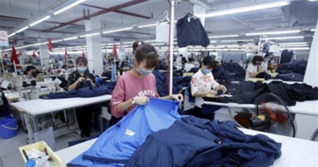 Журнал The Business Times подчеркивает новые возможности в торговле между ЕС и Вьетнамом