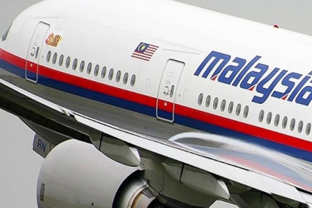 МИД РФ вызвал посла Нидерландов по поводу расследования самолета MH17