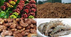 Вьетнам получил 30,05 млрд. долл. США от экспорта агро-лесной и водной продукции за девять месяцев