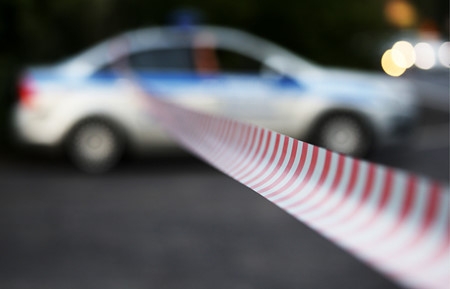 Пятеро граждан Вьетнама погибли в крупном ДТП в Псковской области