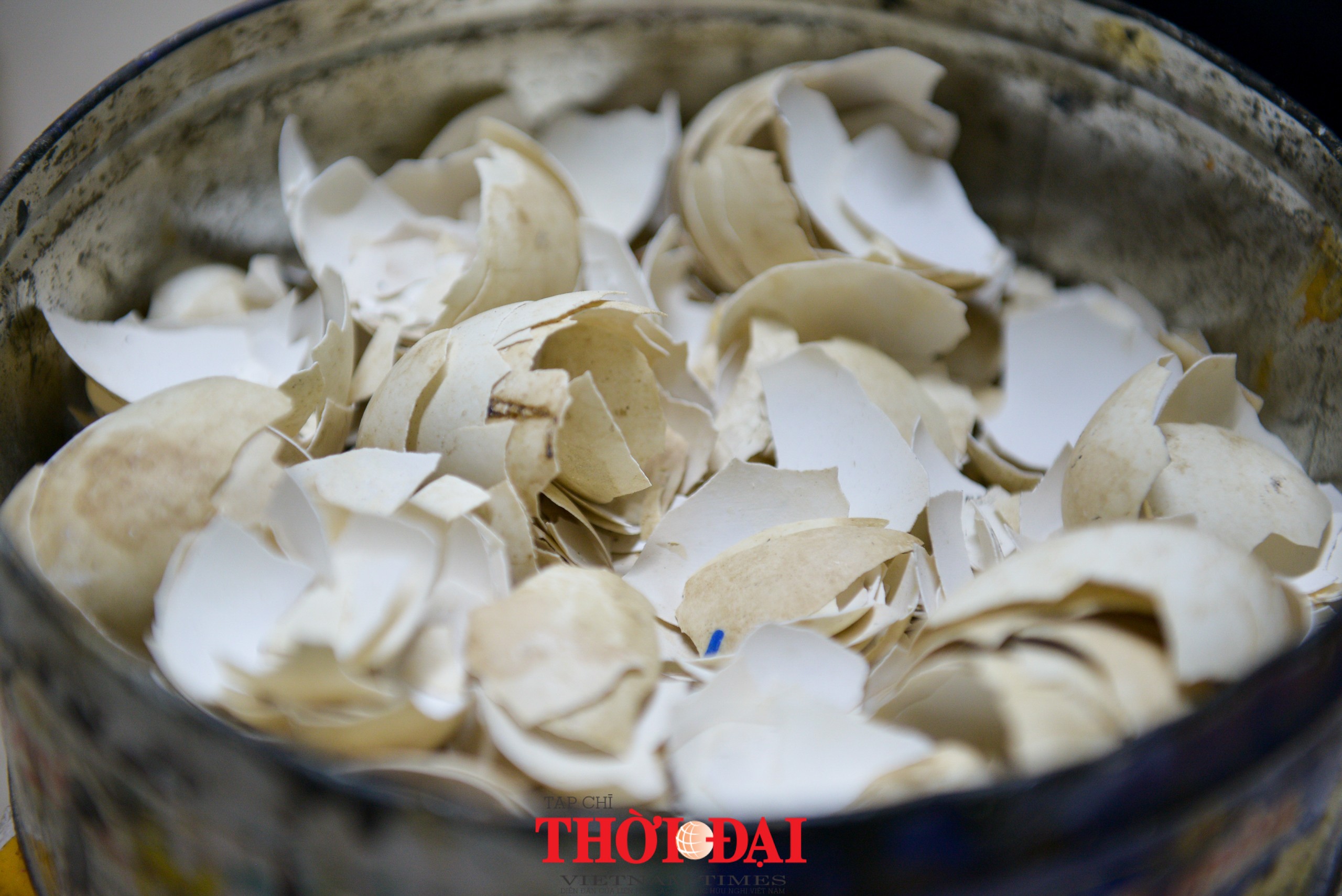 Đầu năm Dần, ngắm bộ sưu tập hổ độc bản đặc sắc hàng nghìn con Chào Xuân Nhâm Dần, ngắm bộ sưu tập 2022 con hổ độc bản đặc sắc
