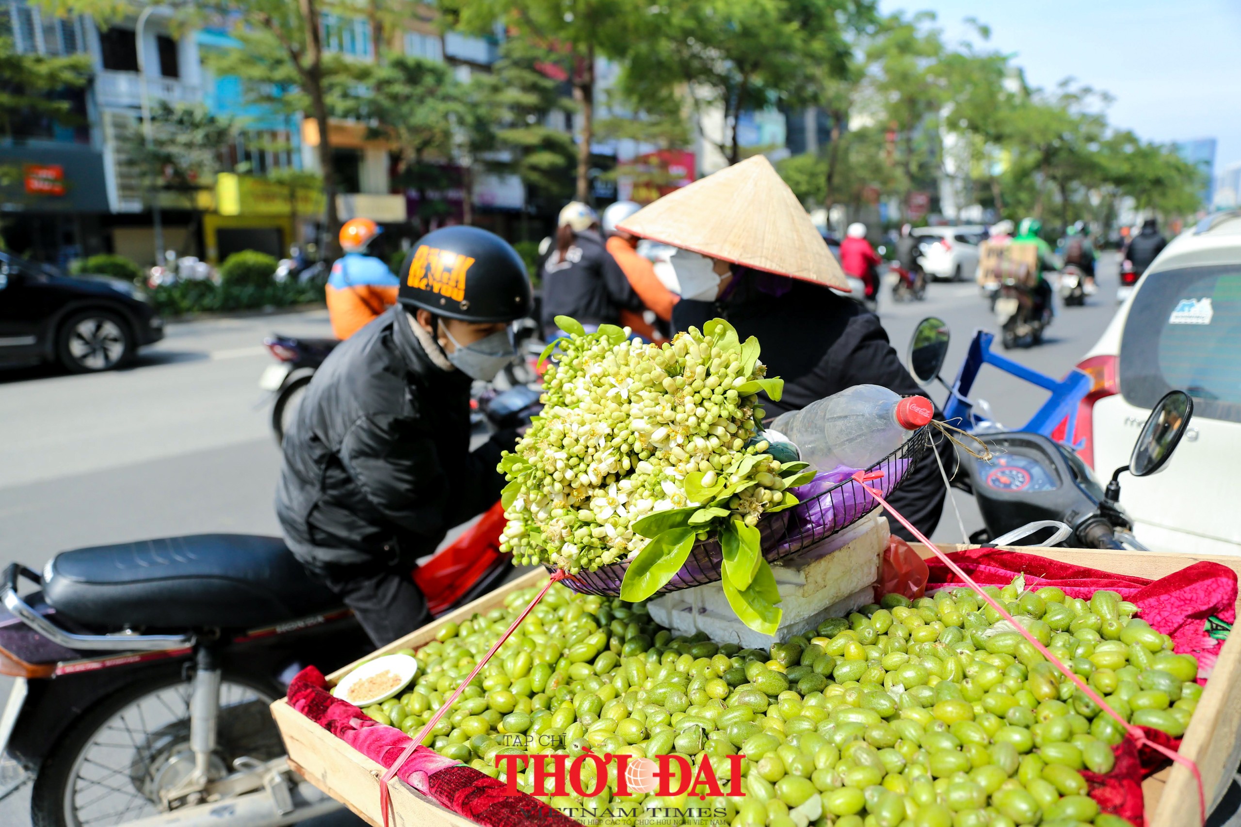 Hà Nội mùa hoa bưởi ngát hương Hà Nội mùa hoa bưởi ngát hương