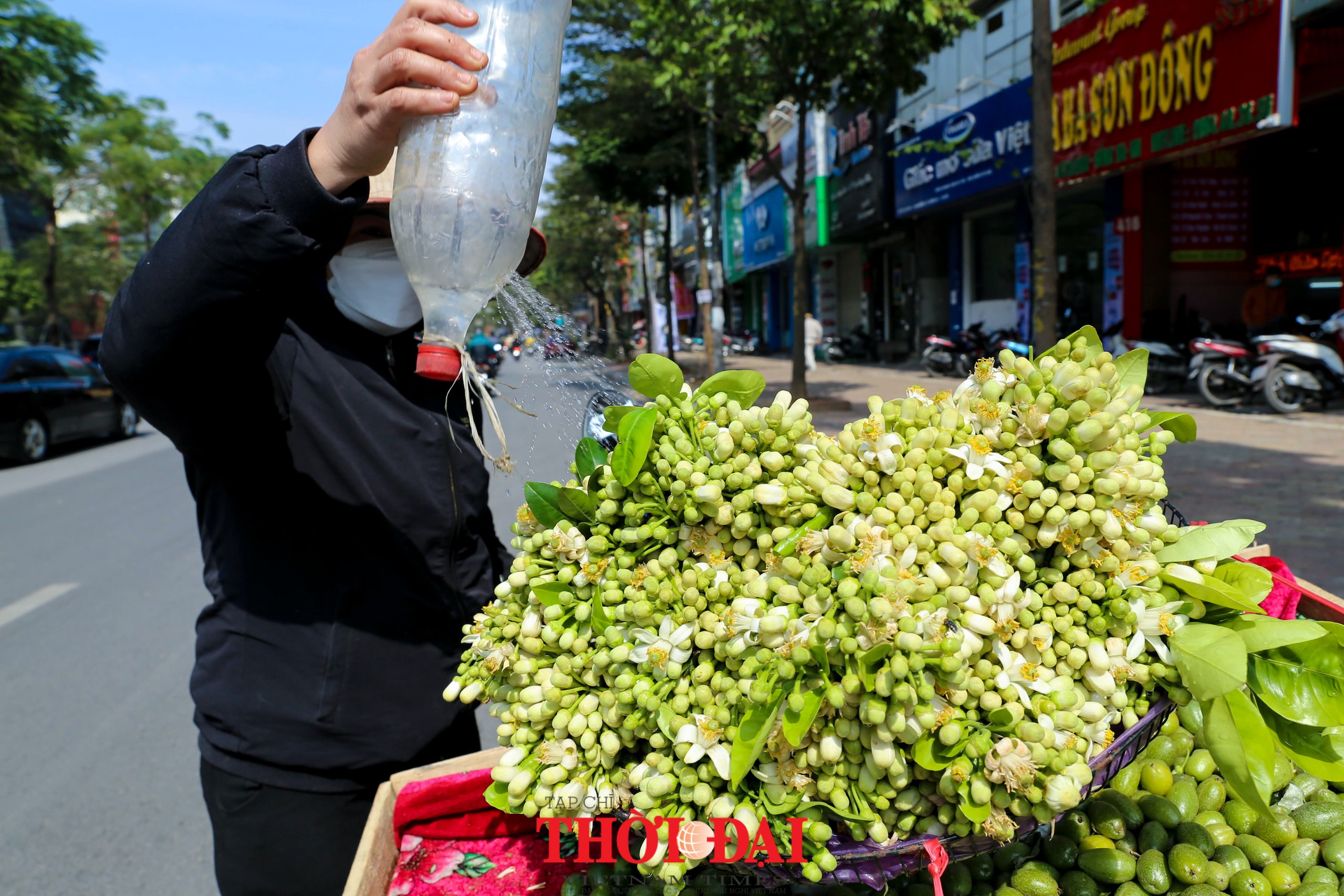 Hà Nội mùa hoa bưởi ngát hương Hà Nội mùa hoa bưởi ngát hương