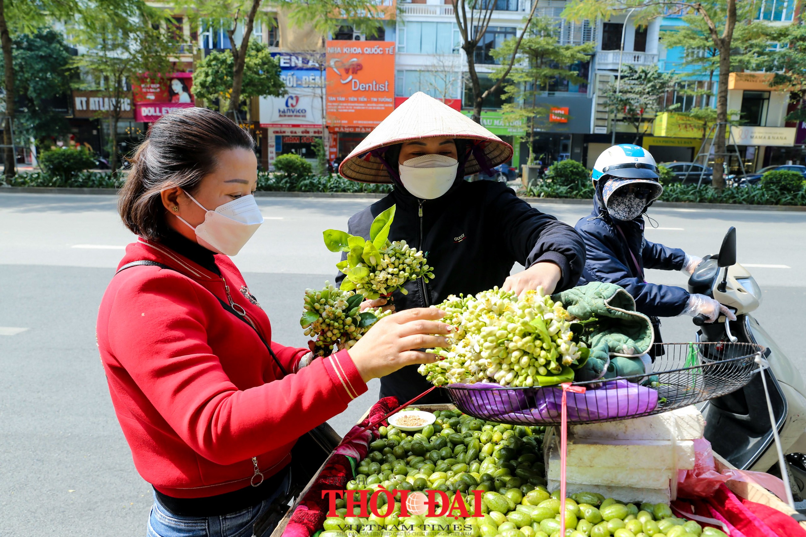 Hà Nội mùa hoa bưởi ngát hương Hà Nội mùa hoa bưởi ngát hương