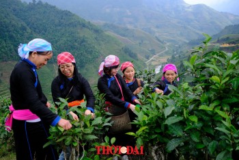 Dự án quốc tế  hỗ trợ du lịch cộng đồng Việt Nam đổi mới, tìm hướng đi hậu COVID-19