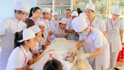 dao nhat tan xuong pho don tet canh ty 2020 som cung nguoi dan thu do