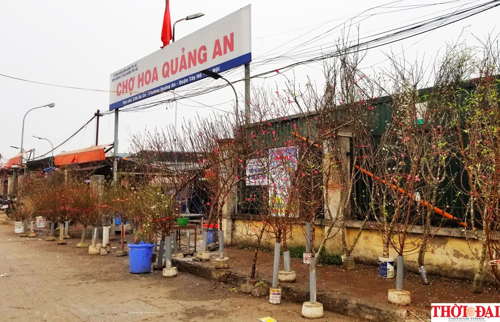 dao nhat tan xuong pho don tet canh ty 2020 som cung nguoi dan thu do