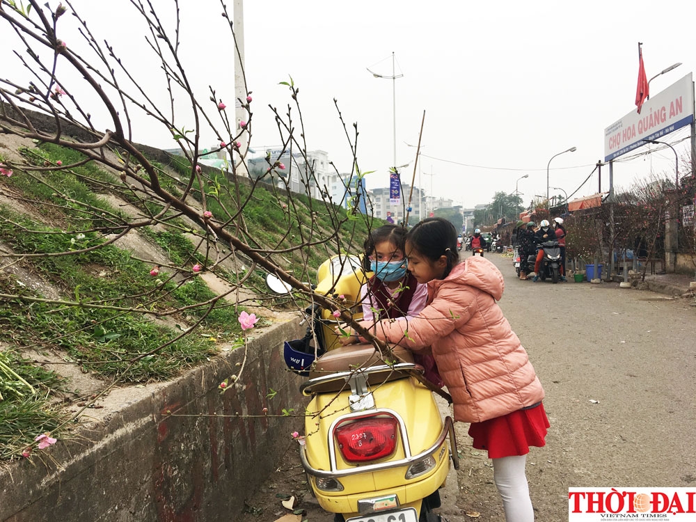 dao nhat tan xuong pho don tet canh ty 2020 som cung nguoi dan thu do