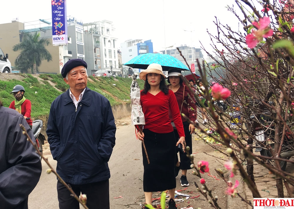 dao nhat tan xuong pho don tet canh ty 2020 som cung nguoi dan thu do
