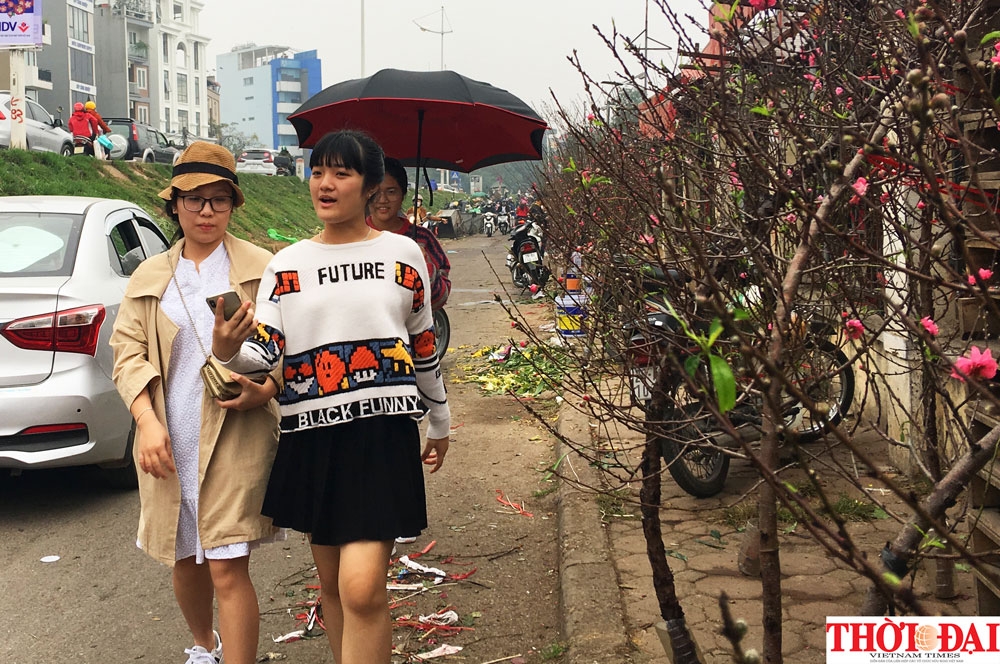 dao nhat tan xuong pho don tet canh ty 2020 som cung nguoi dan thu do