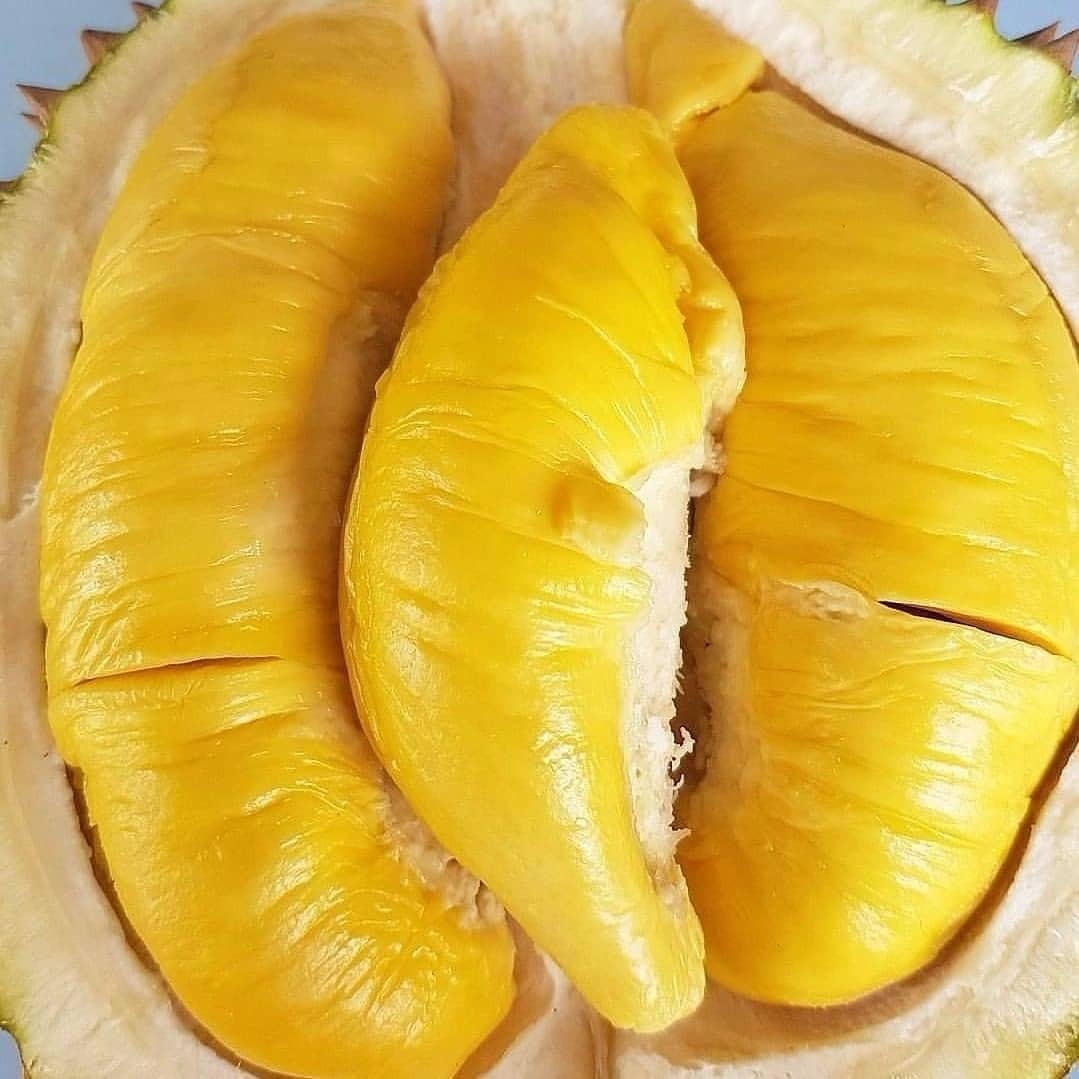 ngoai vai sau rieng va hang loat trai cay khac cung khien nong do con tang