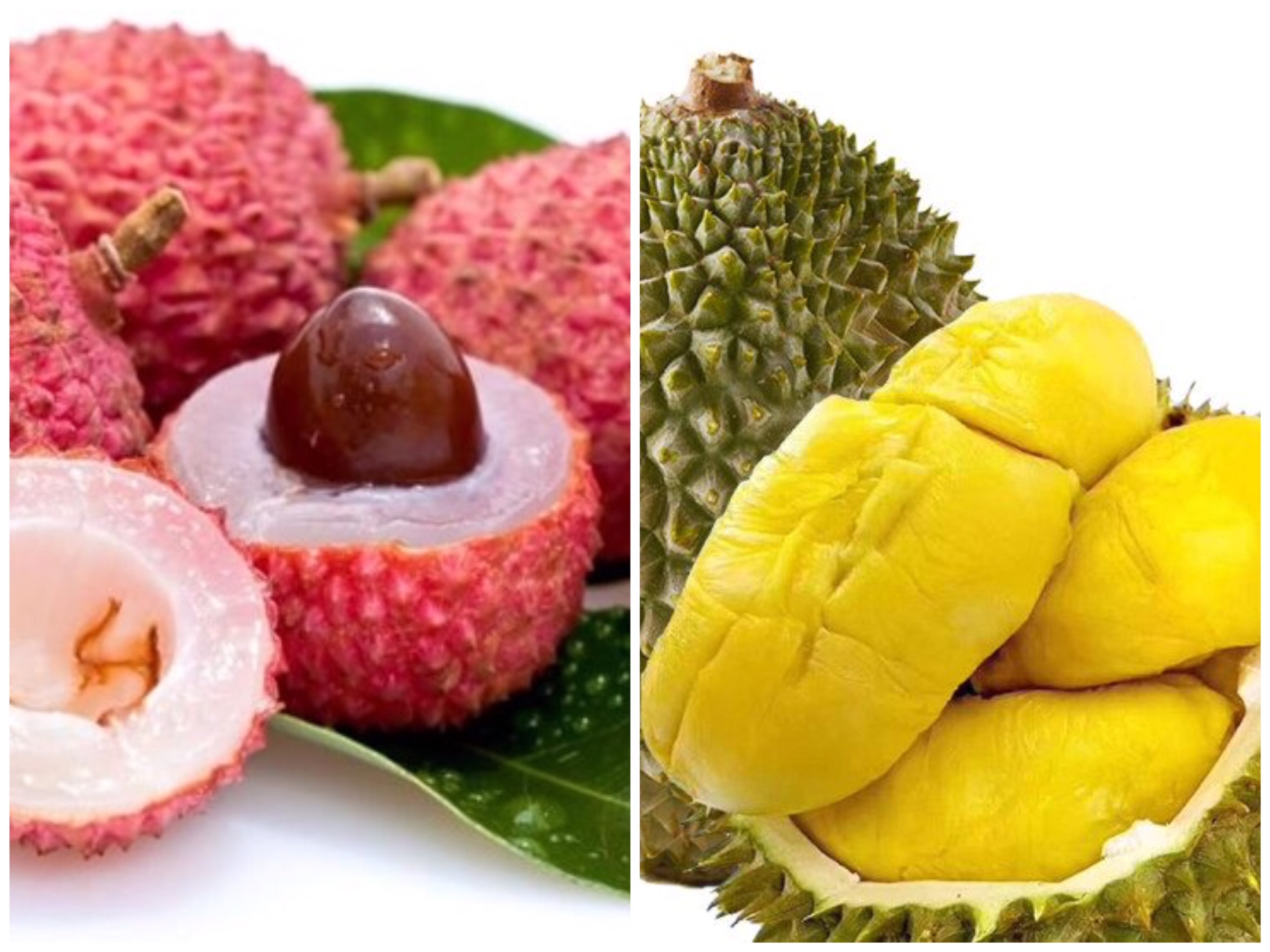 ngoai vai sau rieng va hang loat trai cay khac cung khien nong do con tang