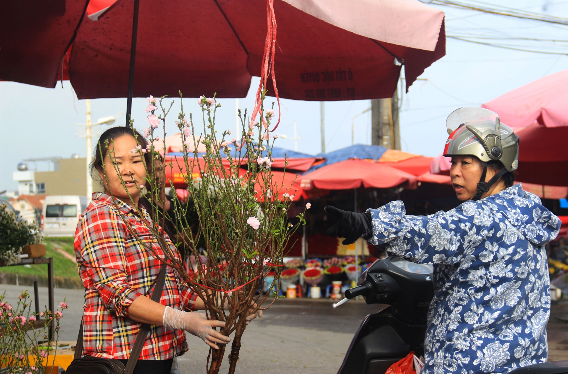 Tin thời tiết hôm nay 8/1: Bắc Bộ lạnh ẩm, Nam Bộ nắng nóng tin thoi tiet hom nay 81 bac bo lanh am nam bo nang nong