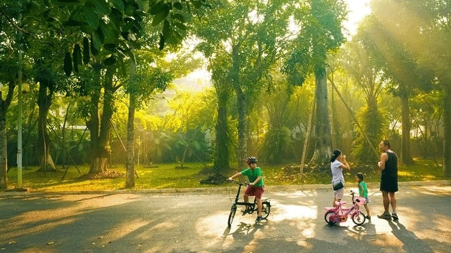 khong khi lanh sap ve mien bac troi ret dam