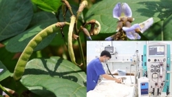 son la 37 van dong vien nho tuoi nhap vien nghi do ngo doc thuc pham