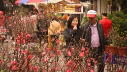 tin thoi tiet hom nay 261 mung 2 tet nguyen dan bac bo mua rao va ret dam