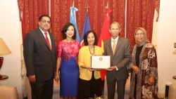 video dai su cac nuoc gui loi chuc tot dep nhat toi viet nam dip tet canh ty 2020