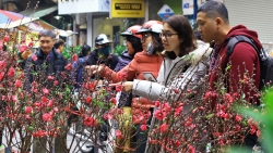 nguoi than trong gia dinh co duoc tu xong dat cho nha minh khong