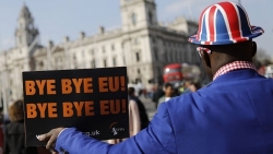 hau brexit gan 90 cong dan eu tai anh xin o lai dinh cu