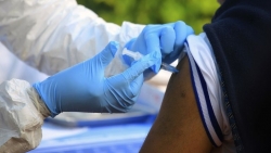 tam dung nhan lao dong tu trung quoc ve an tet tro lai viet nam de ngua virus corona