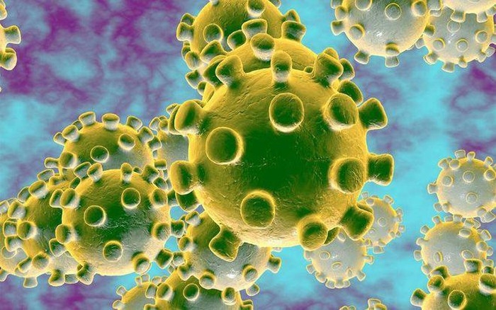 Xét nghiệm virus corona cho kết quả trong bao lâu? xet nghiem virus corona cho ket qua trong bao lau