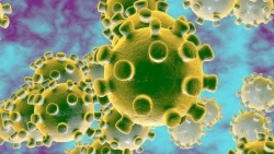 cong an vao cuoc vu hoang tin 33 nguoi 3chet vi virus corona o benh vien cho ray