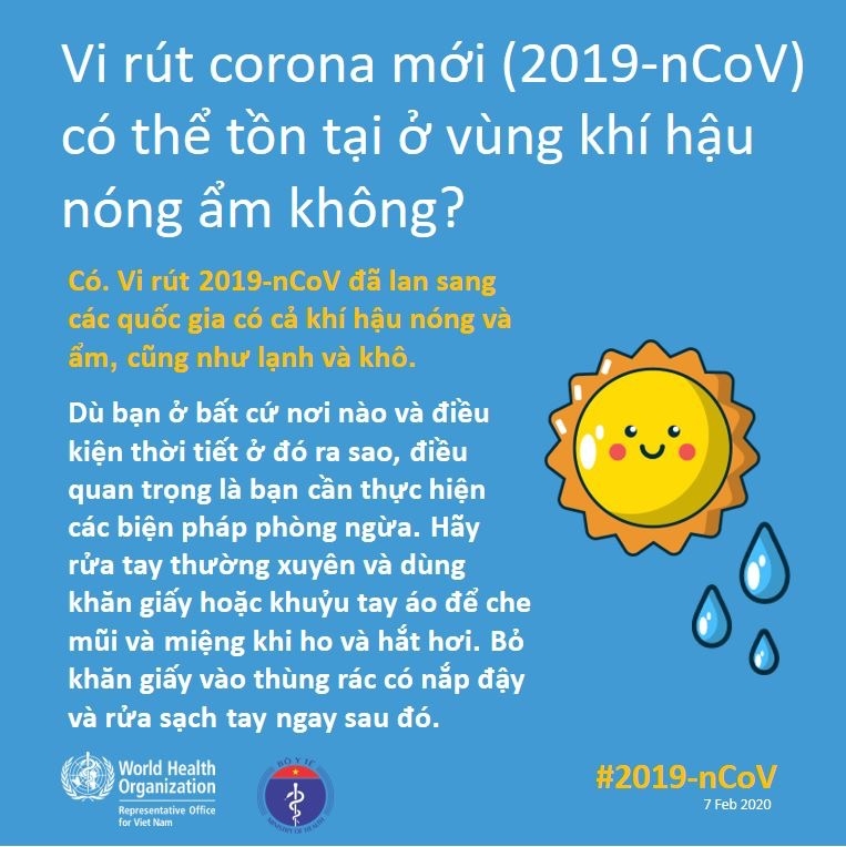 Ăn tỏi thường xuyên có giúp ngừa viêm đường hô hấp cấp do virus corona mới không? an toi thuong xuyen co giup ngua viem duong ho hap cap do virus corona moi khong