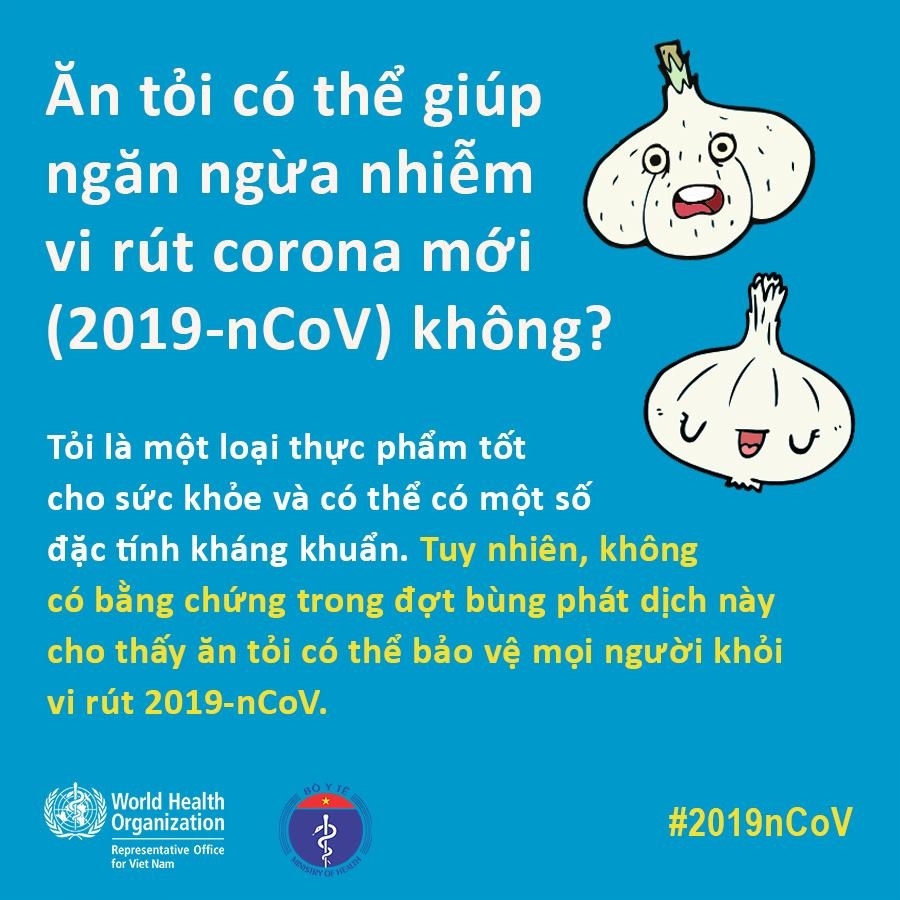 Ăn tỏi thường xuyên có giúp ngừa viêm đường hô hấp cấp do virus corona mới không? an toi thuong xuyen co giup ngua viem duong ho hap cap do virus corona moi khong