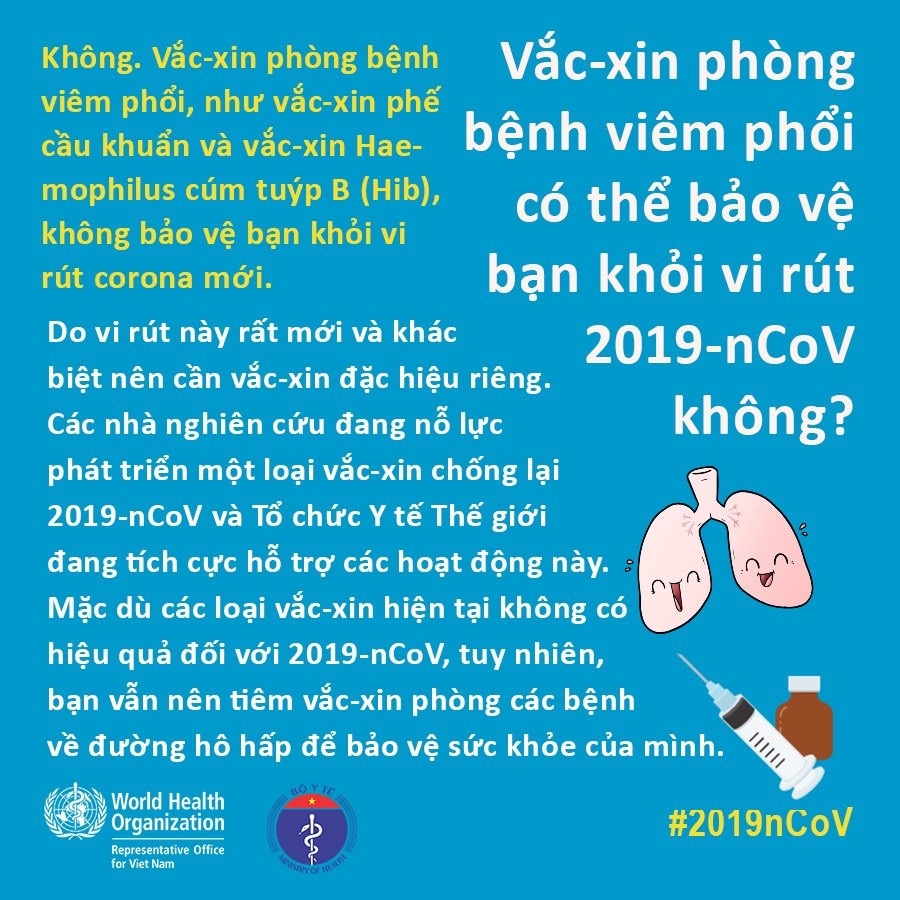 Ăn tỏi thường xuyên có giúp ngừa viêm đường hô hấp cấp do virus corona mới không? an toi thuong xuyen co giup ngua viem duong ho hap cap do virus corona moi khong
