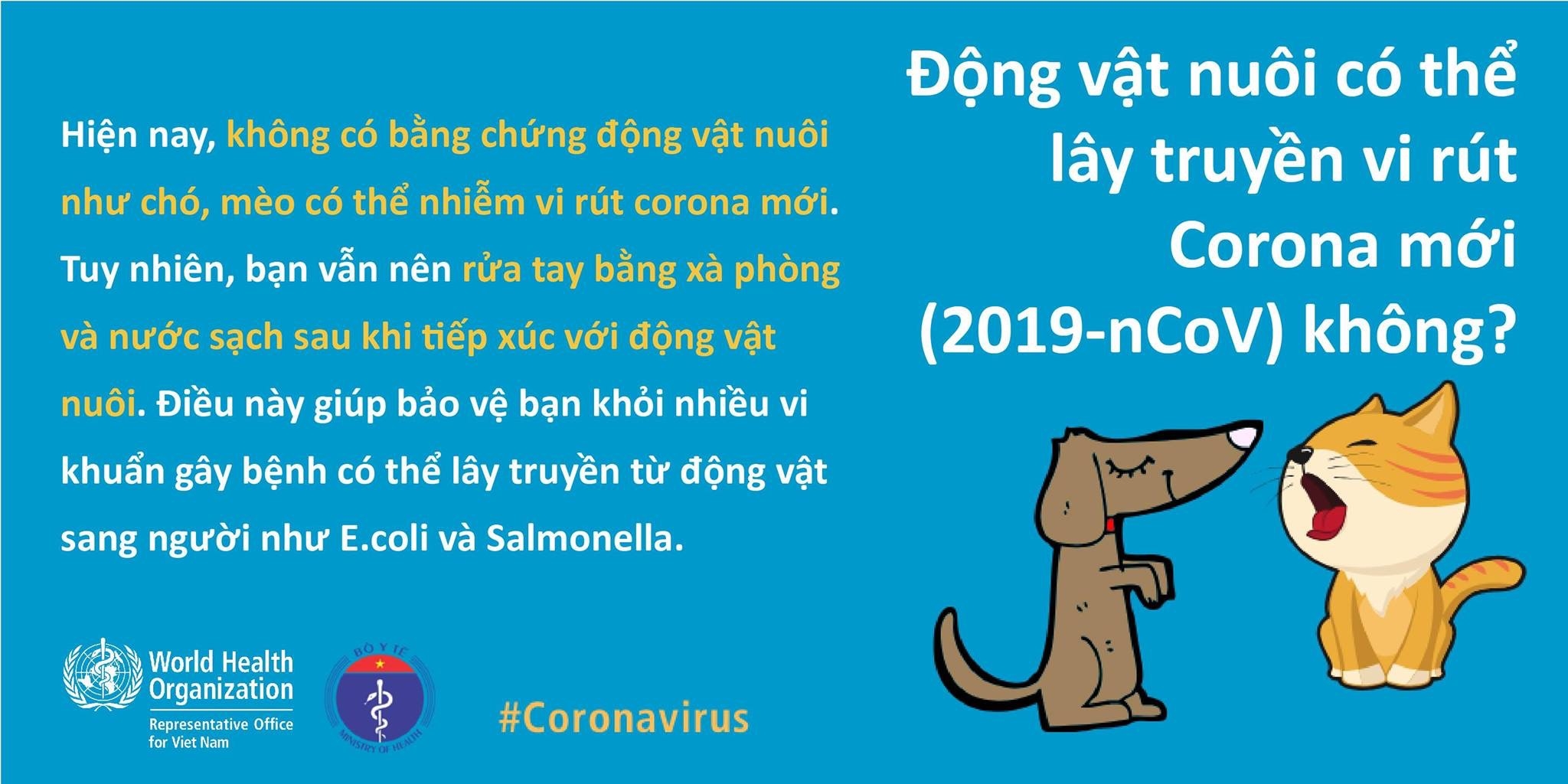 Ăn tỏi thường xuyên có giúp ngừa viêm đường hô hấp cấp do virus corona mới không? an toi thuong xuyen co giup ngua viem duong ho hap cap do virus corona moi khong