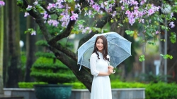 tin thoi tiet hom nay 132 sap don khong khi lanh bac bo lai mua dong va troi ret