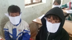 nghe an chay an cho con bat thanh me bi lua 310 trieu dong